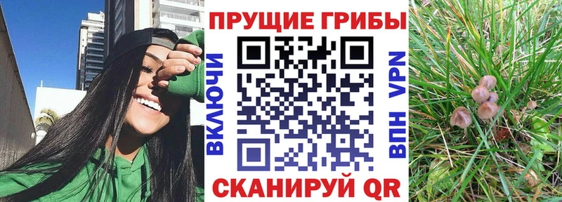 Галлюциногенные грибы мицелий Кунгур